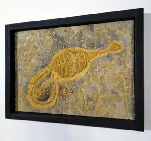 OBRA-Nº-03-FOSILES-DEL-HOMBRE-II